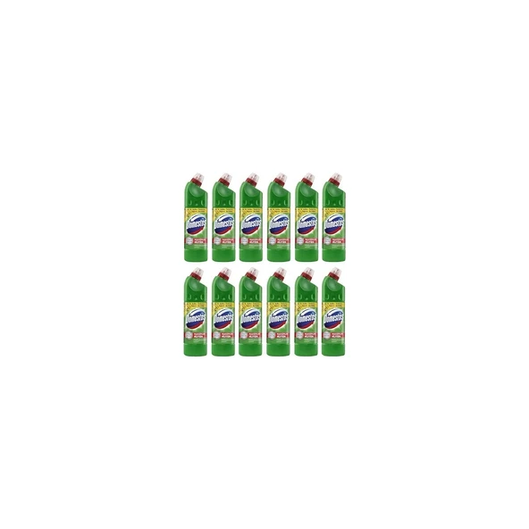 DOMESTOS Çamaşır Suyu Dağ Esintisi 806 gr 12'li Set