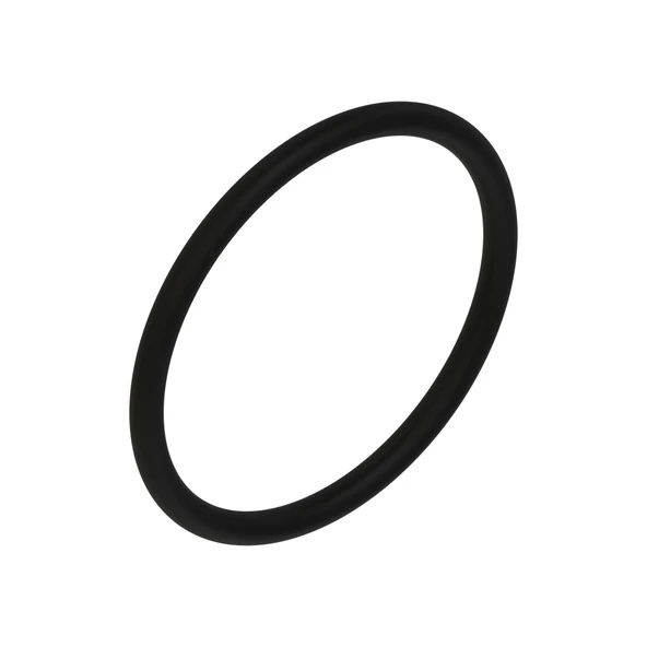 O-Ring L53861 ürün görseli