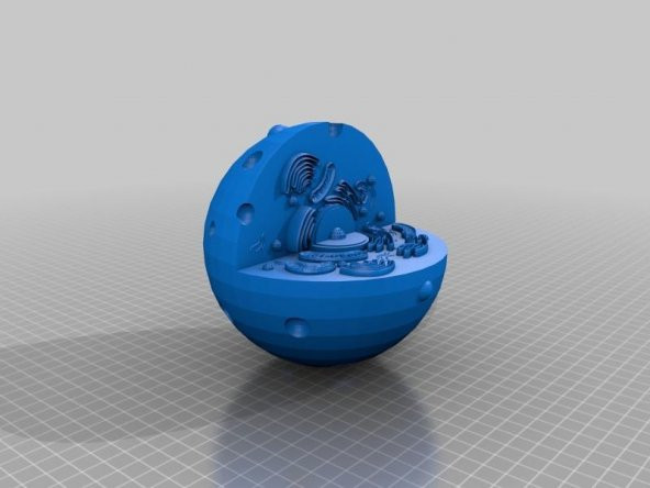 Hayvan Hücresi / Ökaryotik Hücre -Model Plastik Aparat - 4