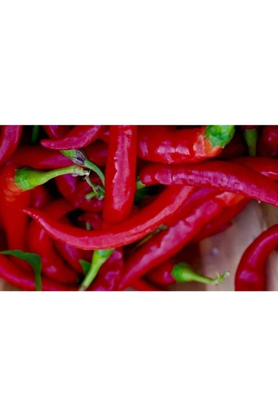 Muka Botanik 20 Adet Girit Ierapetra'dan Yunan Biberi Tohumu ürün görseli