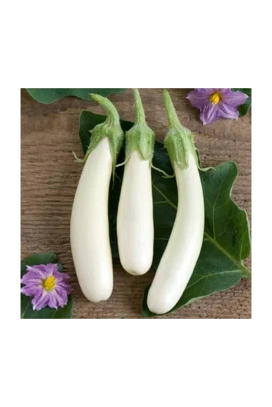 Muka Botanik Süper Paket 100 Adet Tohum Ithal Endonezya Beyaz Kemer Patlıcan Tohumu ürün görseli