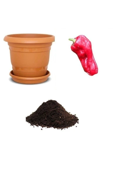 Muka Botanik Çok Acı Urfa Isot Biberi Tohumu Ekim Seti ürün görseli