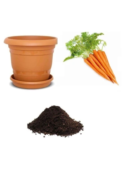 Muka Botanik Havuç Tohumu Ekim Seti ürün görseli