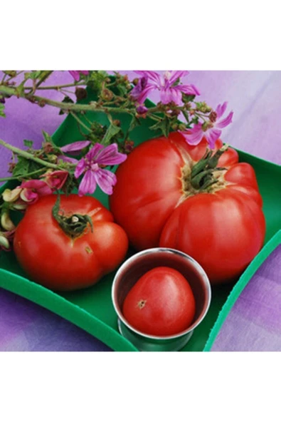 Muka Botanik 20 Adet Goose Creek Domates Tohumu ürün görseli