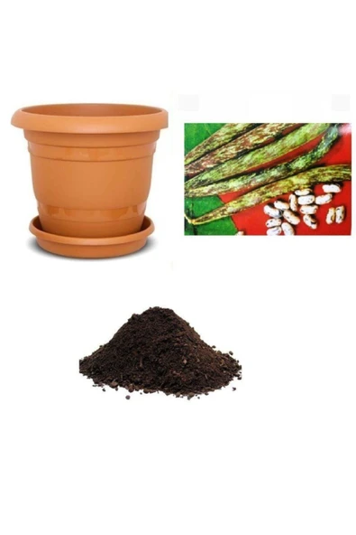 Muka Botanik Meşhur Çilli Ayşe Fasulye Tohumu Ekim Seti ürün görseli