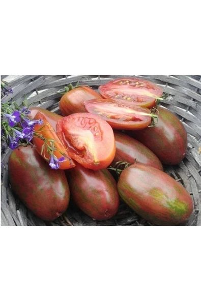 Muka Botanik 20 Adet Sweet Tooth Domates Tohumu - Resim 3