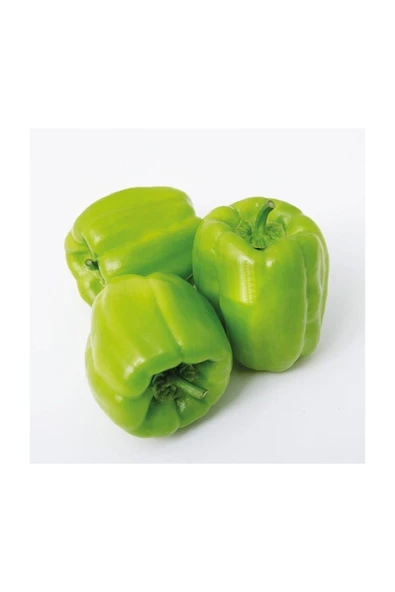 Muka Botanik Dolmalık Biber Tohumu 20 Adet Tohum ürün görseli