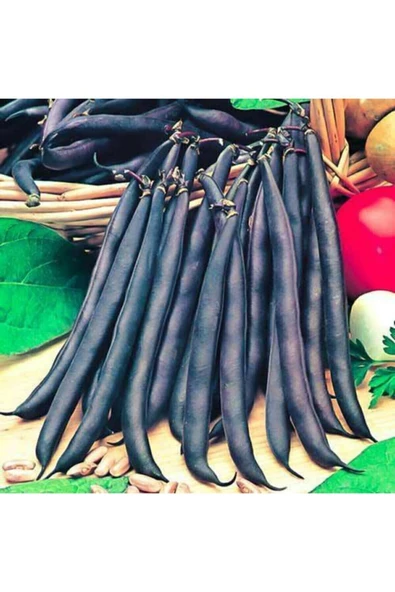 Muka Botanik 20 Adet Yediveren Siyah Fasulye Tohumu ürün görseli