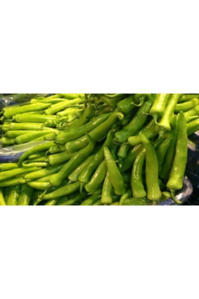 Muka Botanik Acı Çarliston Biber Tohumu Ekim Seti - Resim 3