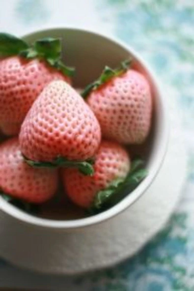 Muka Botanik 10 15 Adet Pembe Renkli Çilek Tohumu - Resim 3