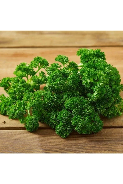 Muka Botanik Kıvırcık Frenk Maydanoz Tohumu (1000 Tohum) ürün görseli