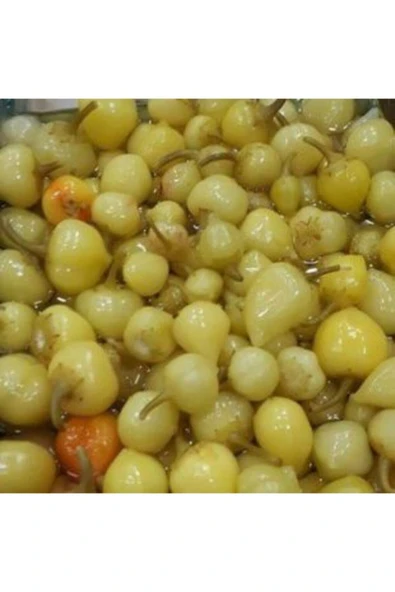 Muka Botanik Acı Fındık Biberi Tohumu Ekim Seti - Resim 3