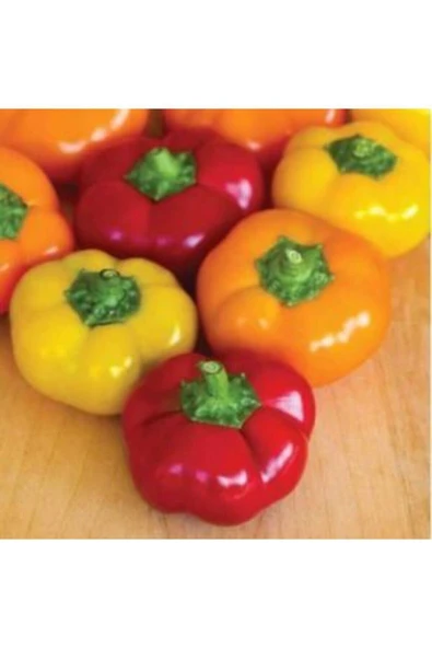 Muka Botanik Nadir Ithal Peynir Biberi Tohumu Ekim Seti - 4