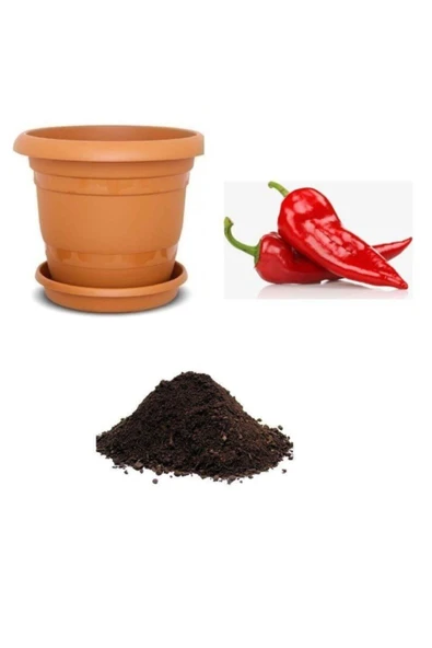 Muka Botanik Acı Kırmızı Kapya Biberi Tohumu Ekim Seti ürün görseli