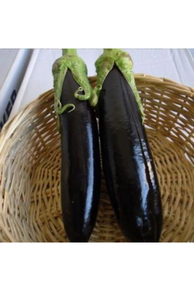 Muka Botanik Siyah Kemer Patlıcan Tohumu Ekim Seti - Resim 4