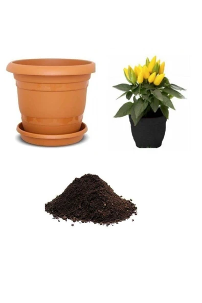 Muka Botanik Acı Yayla Biberi Tohumu Ekim Seti ürün görseli