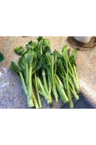 Muka Botanik Ithal Çin Yaprak Lahana Tohumu Ekim Seti - Resim 5