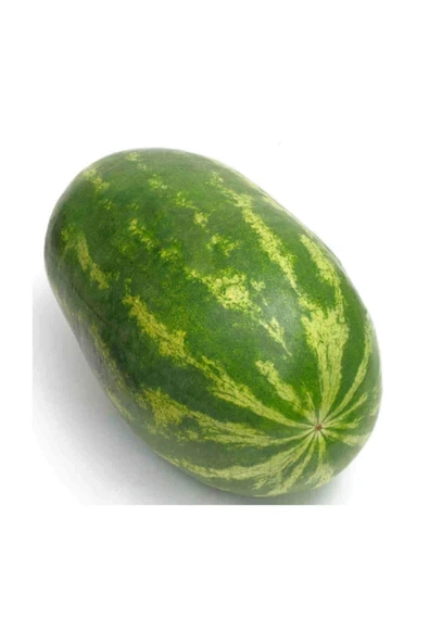 Muka Botanik Meşhur Diyarbakır Karpuzu Tohumu 10 Adet Tohum Karpuz Tohumu ürün görseli