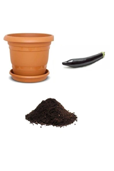 Muka Botanik Siyah Kemer Patlıcan Tohumu Ekim Seti ürün görseli