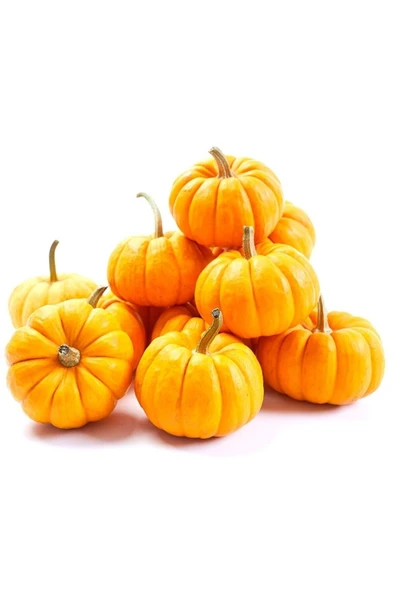 Muka Botanik Nadir Mini Bal Kabağı Tohumu / 5 Adet Tohum - 2