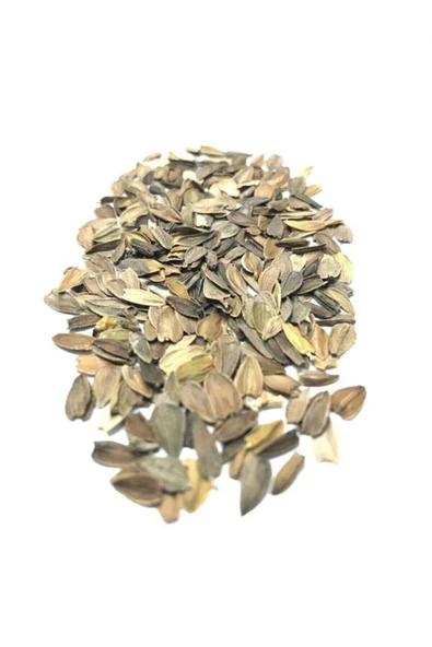 Muka Botanik Karışık Renkli Lekeli Zinnia Çiçeği Tohumu - Resim 4