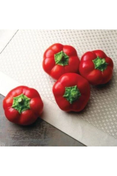 Muka Botanik Nadir Ithal Peynir Biberi Tohumu Ekim Seti - 3