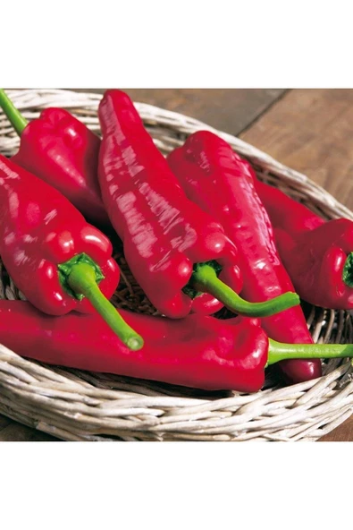 Muka Botanik 25 Adet Sweet Sweet Heirloom Kırmızı Dev Marconi Biber - Resim 2