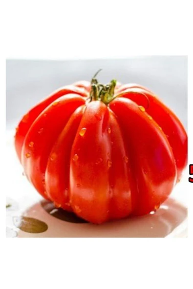 Muka Botanik Italyan Ceneviz Domates Tohumu ürün görseli