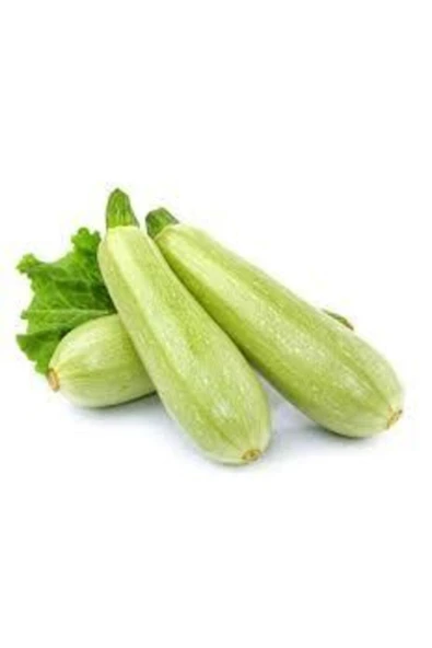 Muka Botanik Sakız Kabak Tohumu 60 Adet ürün görseli