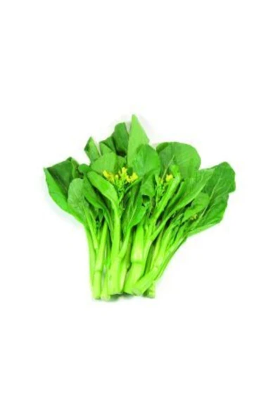 Muka Botanik Ithal Çin Yaprak Lahana Tohumu Ekim Seti - Resim 2