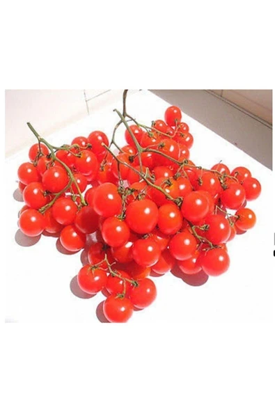 Muka Botanik 10 Adet Alman Salkım Kiraz Domates Tohumu ürün görseli