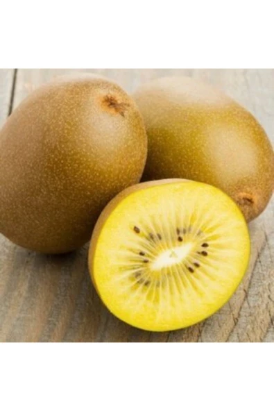 Muka Botanik Ithal Nadir Tropikal Sarı Kivi Tohumu Ekim Seti - Resim 3