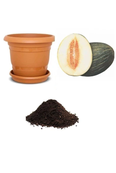 Muka Botanik Hasanbey Kışlık Kavun Tohumu Ekim Seti ürün görseli