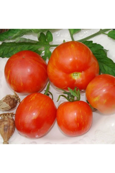 Muka Botanik Tigerella Domates Tohumu ürün görseli
