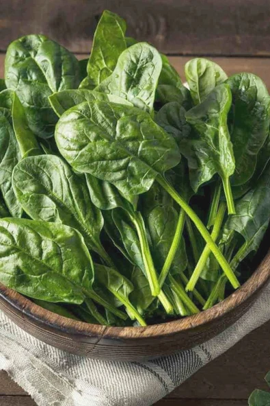 Muka Botanik Geniş Yapraklı, Yerli Ispanak Tohumu / 20 Adet Tohum - Resim 4