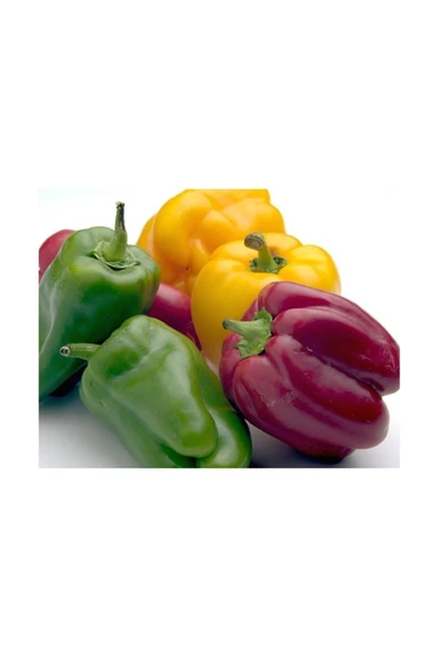 Muka Botanik Renkli California Dolmalık Biber Tohumu / 10 Adet ürün görseli