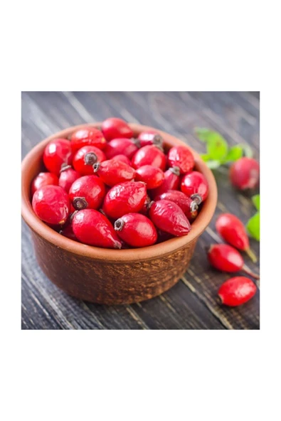 Muka Botanik Kuşburnu Tohumu 5 Adet Tohum Kuş Burnu Meyvesi - Resim 2