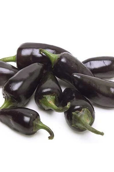 Muka Botanik 20 Adet Bordo Jalopeno Acı Biber Tohumu ürün görseli