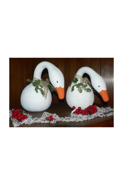 Muka Botanik Nadit Ithal Kuğu Su Kabağı Tohumu 6 Adet Tohum Kabak Tohumu ürün görseli