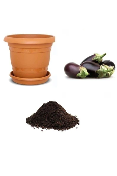 Muka Botanik Dolmalık Antep Patlıcanı Tohumu Ekim Seti ürün görseli