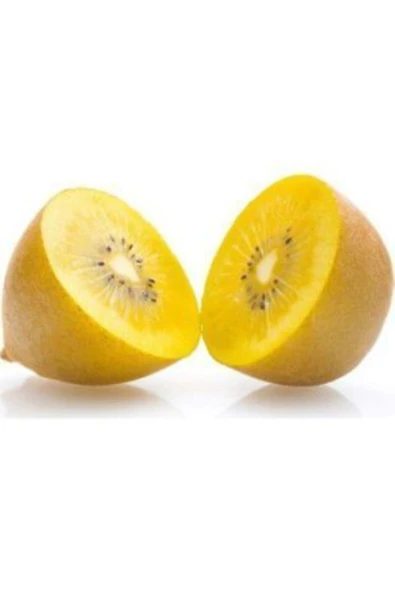 Muka Botanik Ithal Nadir Tropikal Sarı Kivi Tohumu Ekim Seti - Resim 2