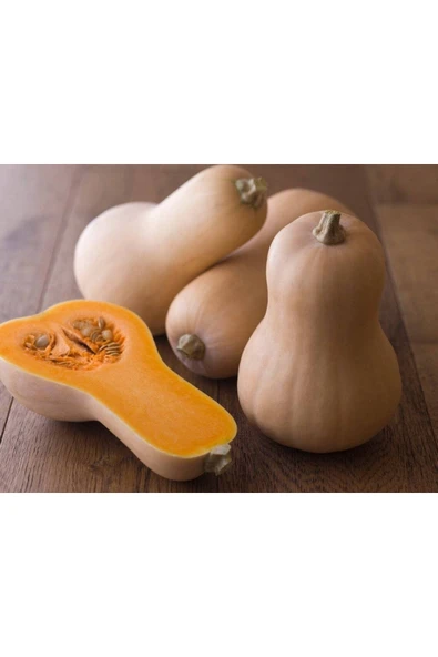 Muka Botanik 5 Adet Erkenci Bal Kabağı Tohumu