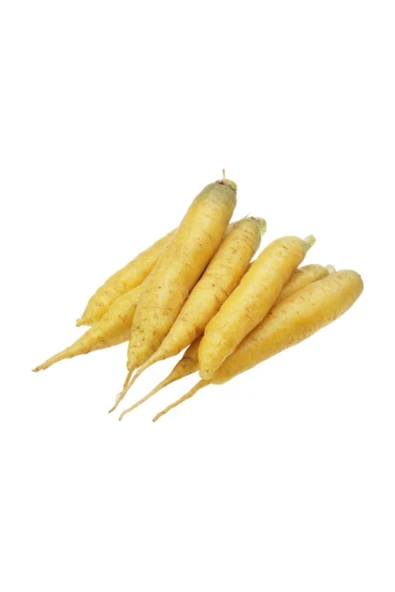 Muka Botanik Eko Paket 50 Adet Tohum Nadir Ithal Sarı Havuç Tohumu - Resim 3