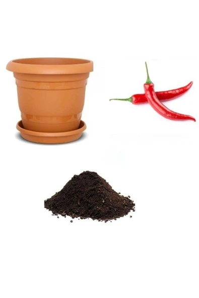 Muka Botanik Meşhur Acı Hatay Biberi Tohumu Ekim Seti ürün görseli