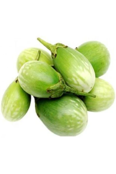 Muka Botanik Ithal Yeşil Dolmalık Patlıcan Tohumu Ekim Seti - Resim 3