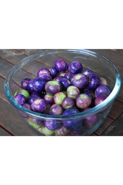 Muka Botanik 10 Adet Purple Domates Tohumu - Resim 3