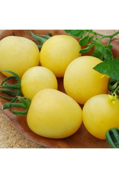 Muka Botanik 20 Adet Garden Peach Domates Tohumu ürün görseli