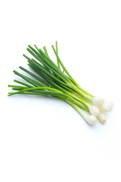 Muka Botanik Yerli Erkenci Taze Soğan Tohumu / 50 Adet Tohum - Resim 5