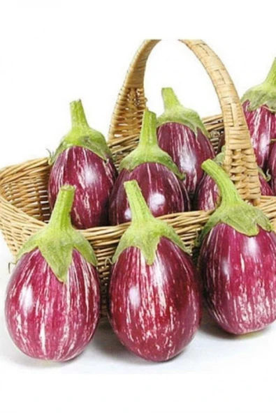 Muka Botanik Çizgili Mor Patlıcan Tohumu 25 Adet ürün görseli