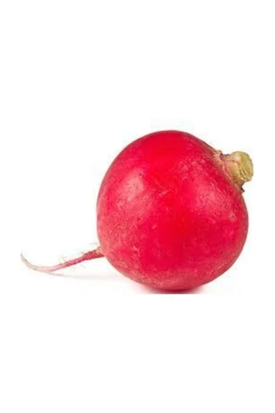 Muka Botanik Agrobazaar Kırmızı Büyük Turp 200 Adet Tohum ürün görseli